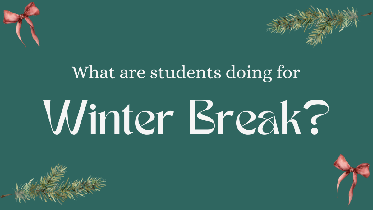 Infographic: What are students doing over Winter Break?